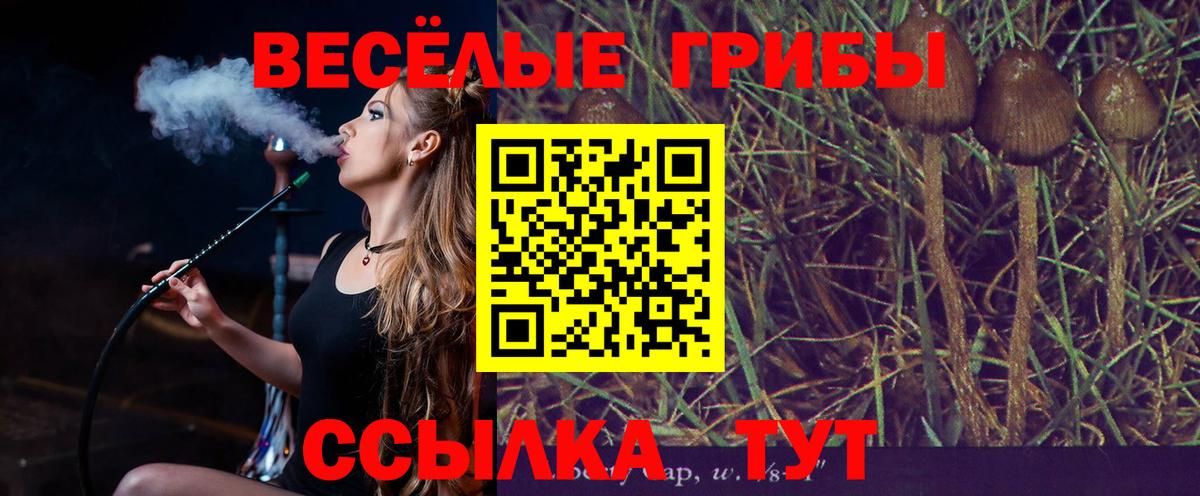 Псилоцибиновые грибы мицелий  Вход с VPN  Псилоцибиновые грибы GOLDEN TEACHER  Чернушка 