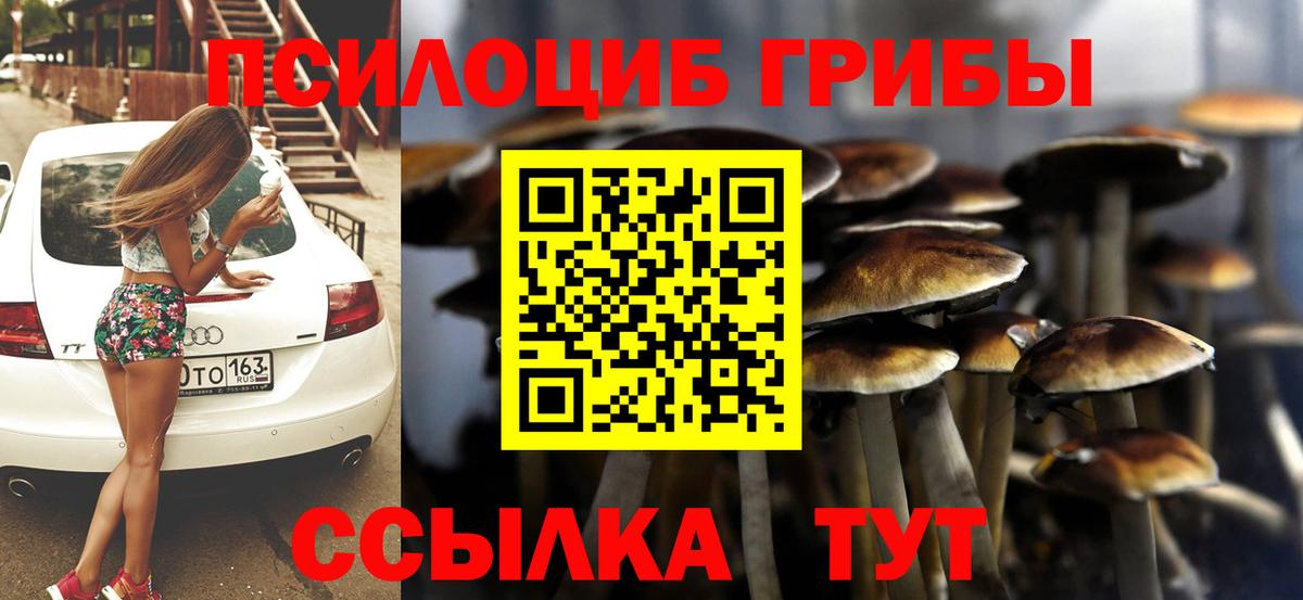 Псилоцибиновые грибы Psilocybine cubensis Чернушка